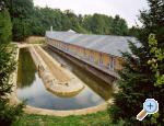 accommodation jindrichuv-hradec Czech republic