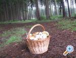 accommodation jindrichuv-hradec Czech republic